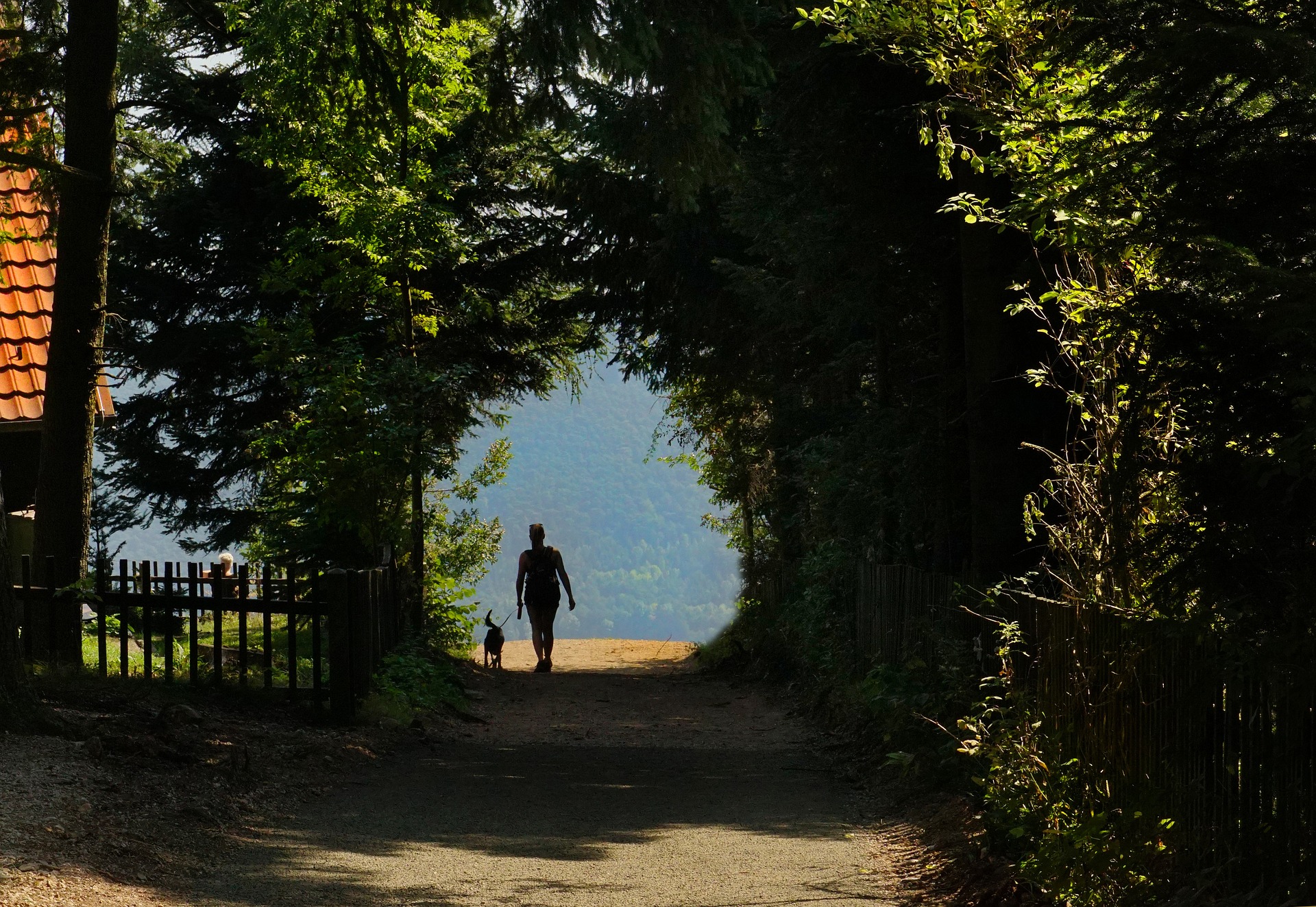 man-and-animal-3794927_1920