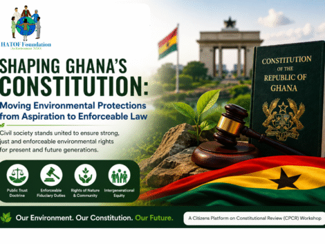 SHAPING GHANA'S CONSTITUTION